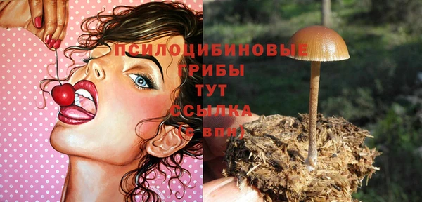 первитин Баксан